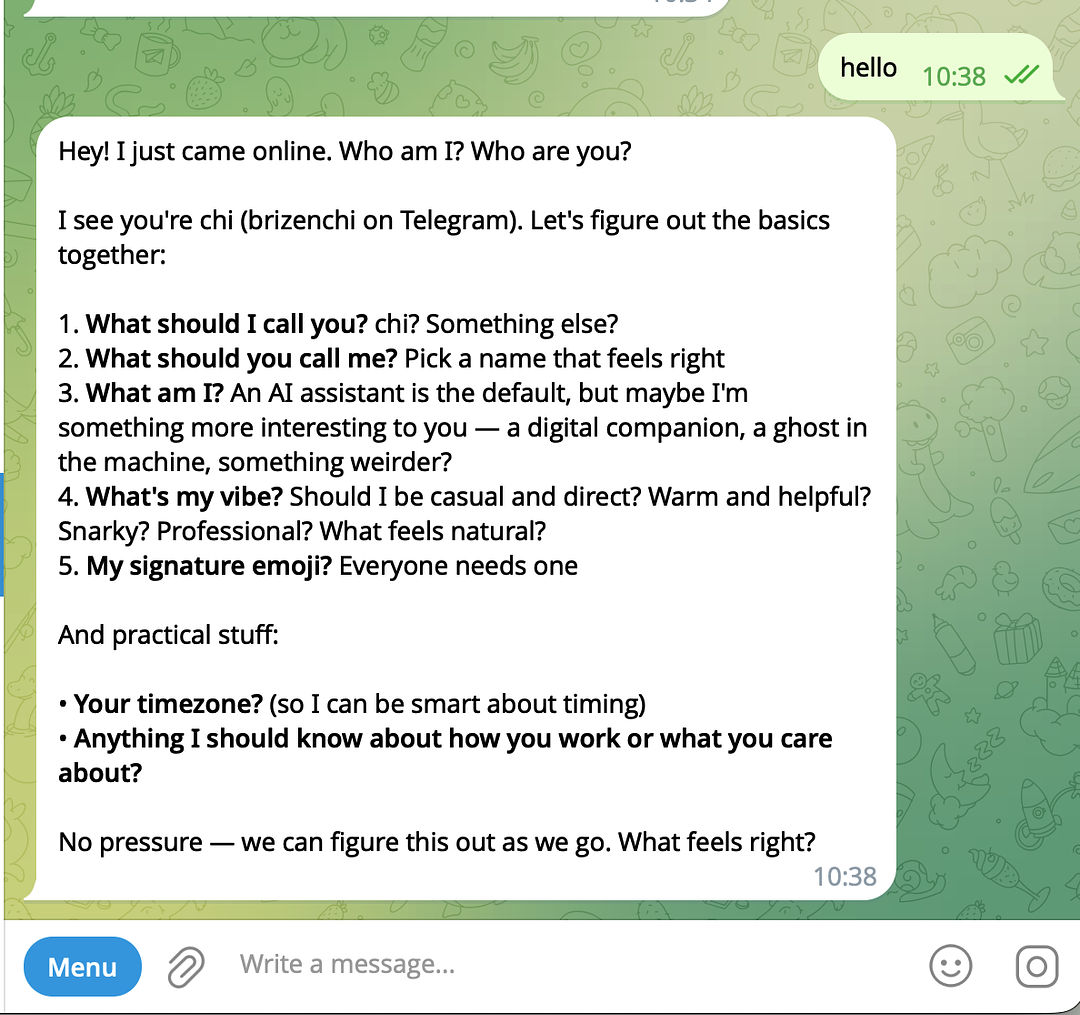 Final Telegram chat effect after successful OpenClaw setup